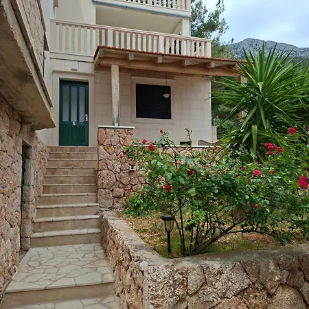 Elvira Apartamento