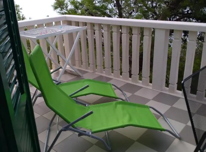 Elvira 스베타 네델자