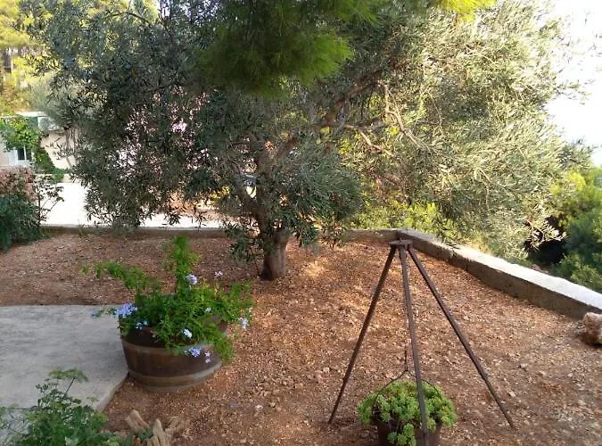 Elvira 아파트 스베타 네델자