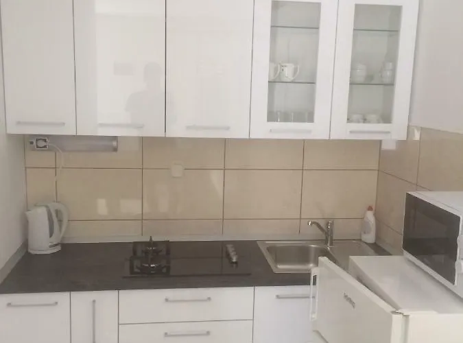 Elvira 스베타 네델자