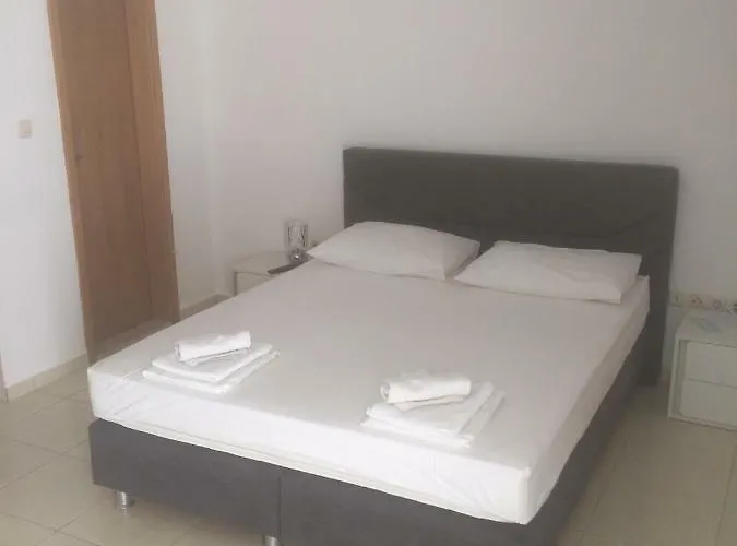 Elvira 스베타 네델자